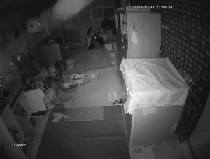 Caméra IP - South Korea