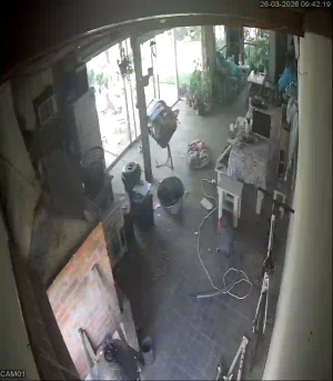 Caméra IP - Uruguay