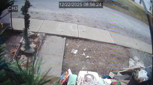 Caméra IP - Estados Unidos