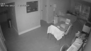 Caméra IP - Stati Uniti d'America