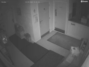 Caméra IP - Vue en direct