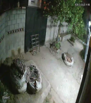 Caméra IP - Argentina