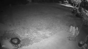 Caméra IP - República de Corea