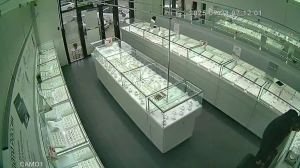 Caméra IP - Russian Federation