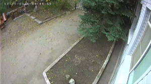 Caméra IP - Russia