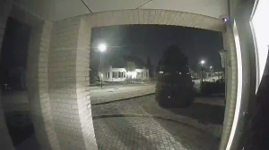 Caméra IP - Netherlands