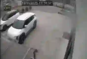 Caméra IP - Corée du Sud