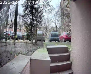 Caméra IP - Vue en direct