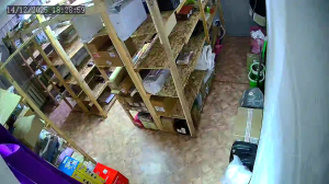 Caméra IP - Russische Föderation