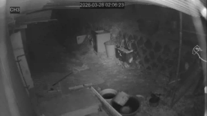 Caméra IP - Corée du Sud