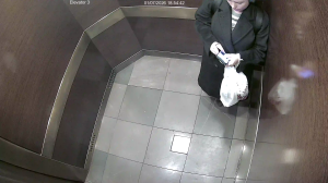 Caméra IP - États-Unis d'Amérique