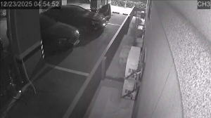 Caméra IP - Südkorea