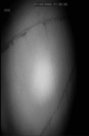 Caméra IP - United Kingdom