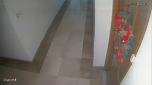 Caméra IP - Philippines