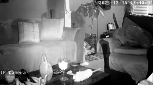 Caméra IP - United States of America