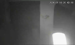 Caméra IP - Ukraine