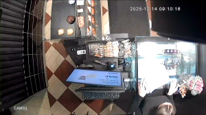 Caméra IP - Russische Föderation