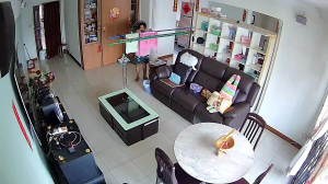 Caméra IP - Singapore