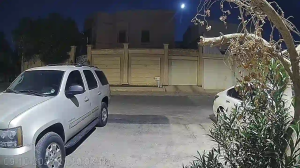Caméra IP - Saudi-Arabien