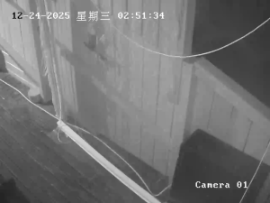 Caméra IP - Nouvelle-Zélande