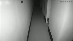 Caméra IP - Malaysia