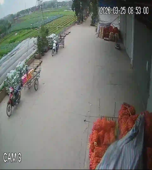 Caméra IP - Vietnam