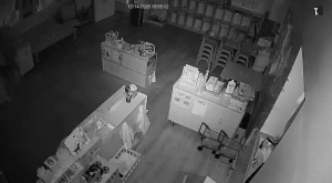 Caméra IP - United States of America