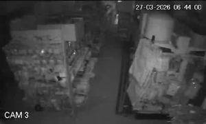 Caméra IP - Macedonia del Norte