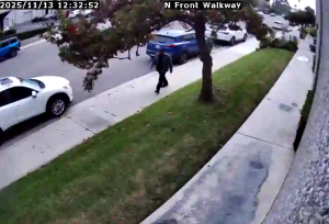 Caméra IP - United States of America