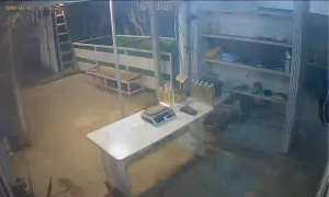 Caméra IP - Bulgaria