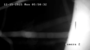 Caméra IP - Vereinigte Staaten von Amerika