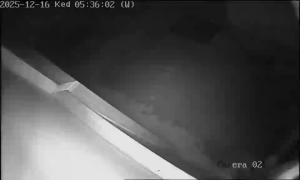 Caméra IP - Hungría