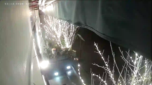 Caméra IP - Ucrania