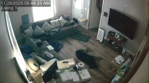 Caméra IP - États-Unis d'Amérique