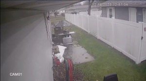 Caméra IP - United States of America