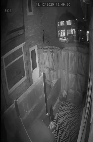 Caméra IP - Royaume-Uni