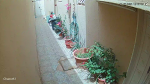 Caméra IP - Saudi Arabia