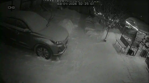 Caméra IP - Russian Federation