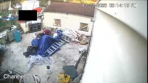 Caméra IP - Vereinigte Staaten von Amerika