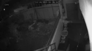 Caméra IP - South Korea