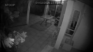 Caméra IP - South Africa