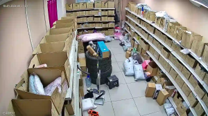 Caméra IP - Denmark