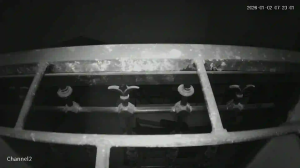 Caméra IP - Algerien