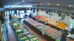 Caméra IP - Südkorea