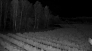 Caméra IP - Biélorussie