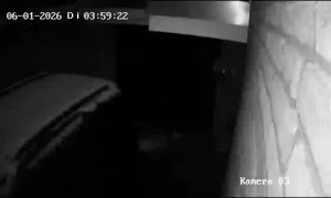 Caméra IP - Germany