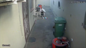 Caméra IP - South Africa