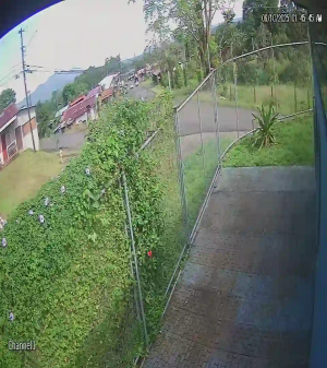 Caméra IP - Costa Rica