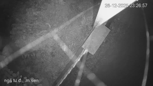 Caméra IP - Vietnam