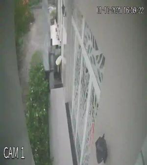 Caméra IP - Vietnam